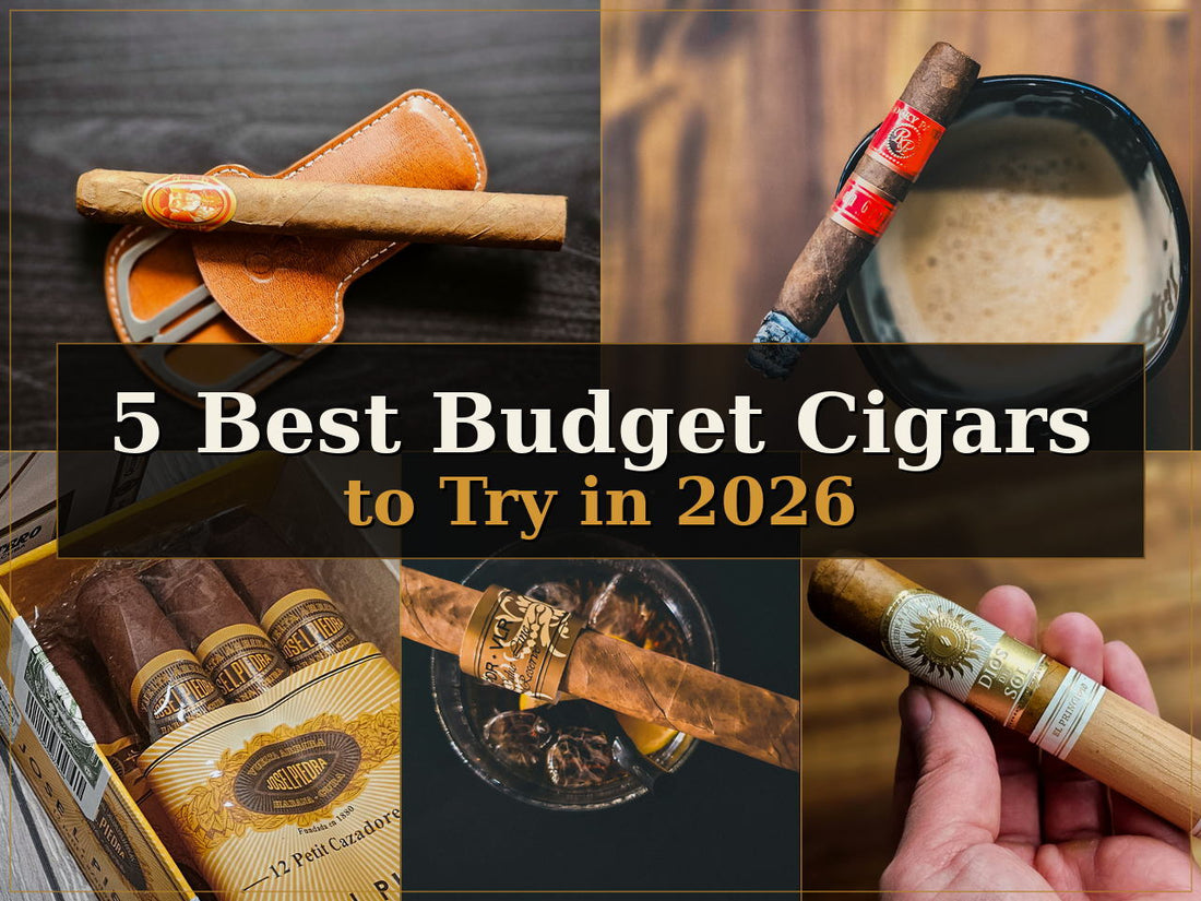 5 Best Budget Cigars to Try in 2026 for Great Flavor & Value 💨