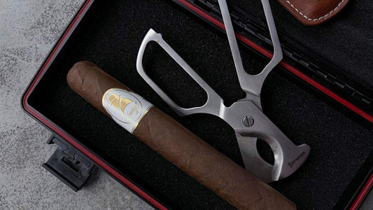 Davidoff Winston Churchill Toro Cigar Review